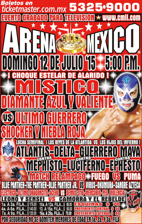 Consejo mundial de lucha libre