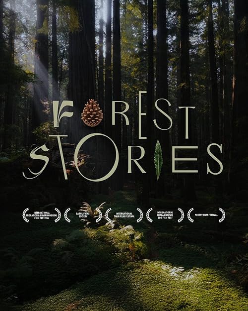 Forest Stories