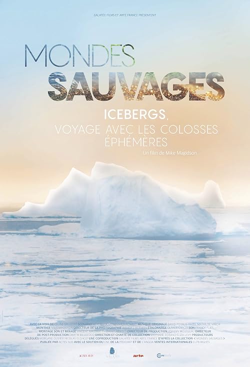 Icebergs, Voyage avec les colosses éphémères (Mondes Sauvages)