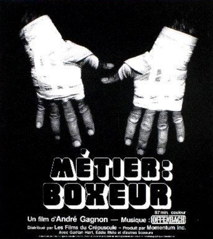 Métier: Boxeur