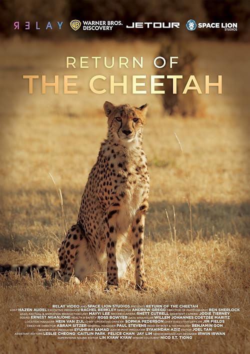 Return of the Cheetah