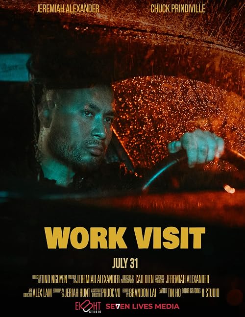 Work Visit