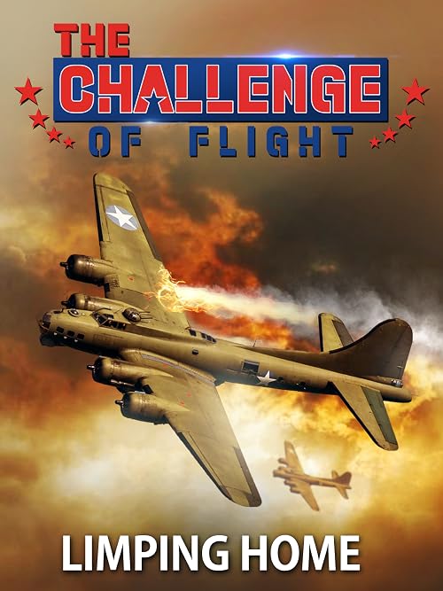 The Challenge of Flight - Limping Home