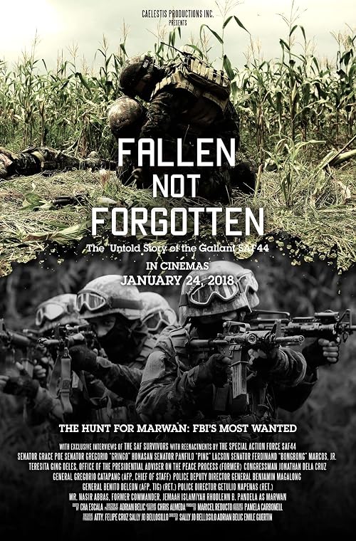 Fallen Not Forgotten