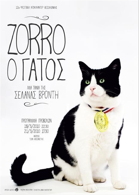 Zorro the Cat