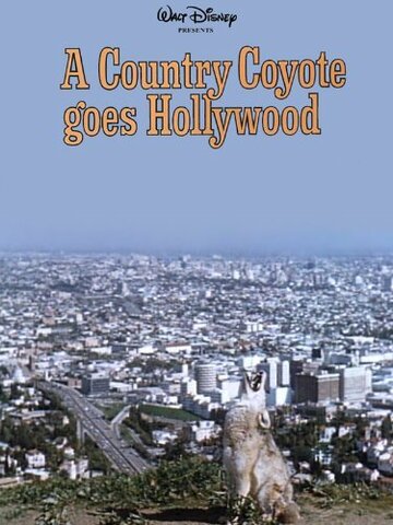 A Country Coyote Goes Hollywood