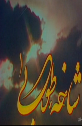 Shakheye Tooba
