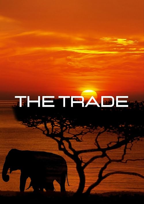 The Trade 2024