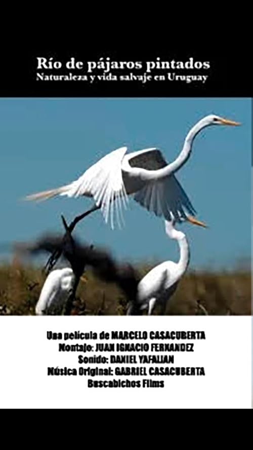 Río de los pájaros pintados