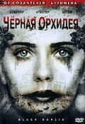Black Dahlia