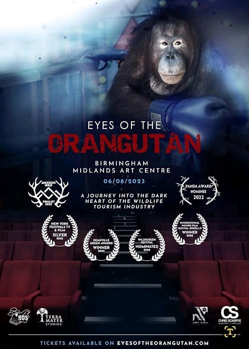 Eyes of the Orangutan
