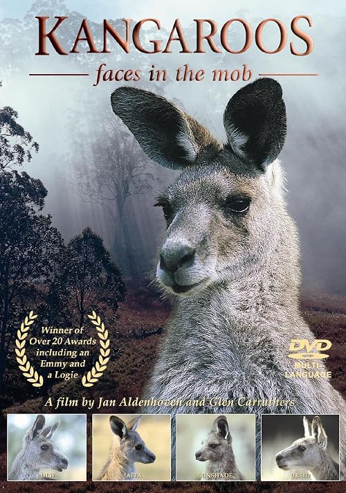 Kangaroos: Faces in the Mob