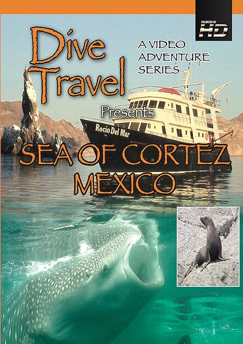 Dive Travel