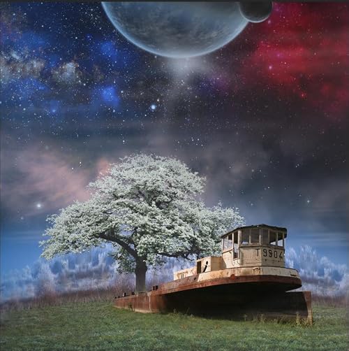 Title, Memory & the Tree