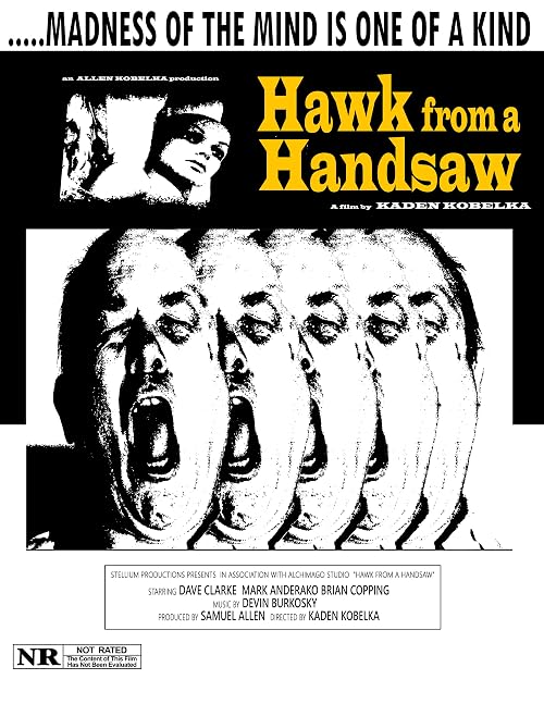 Hawk from a Handsaw