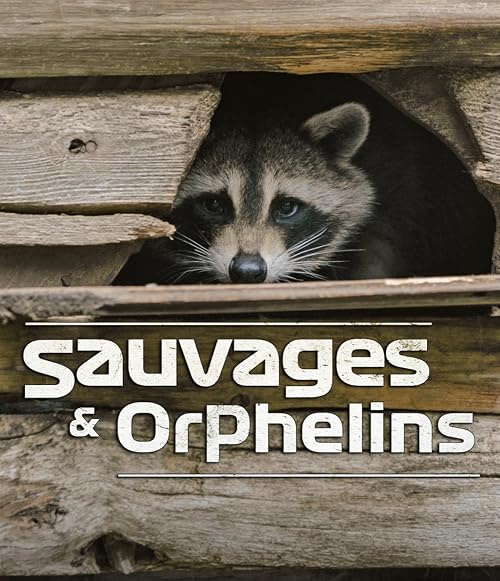 Sauvage et orphelin
