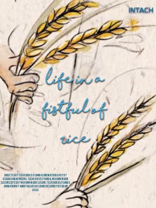 Life in a Fistful of rice