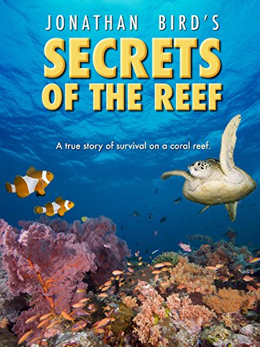Secrets of the Reef