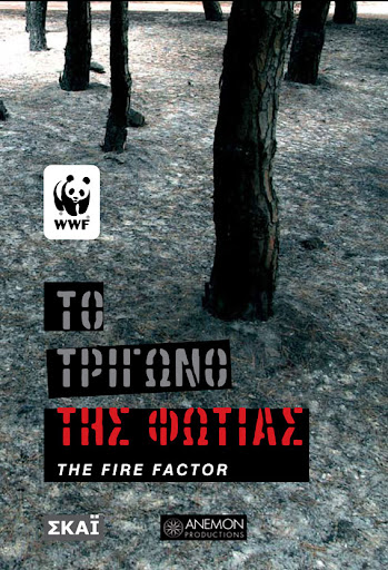 The Fire Factor