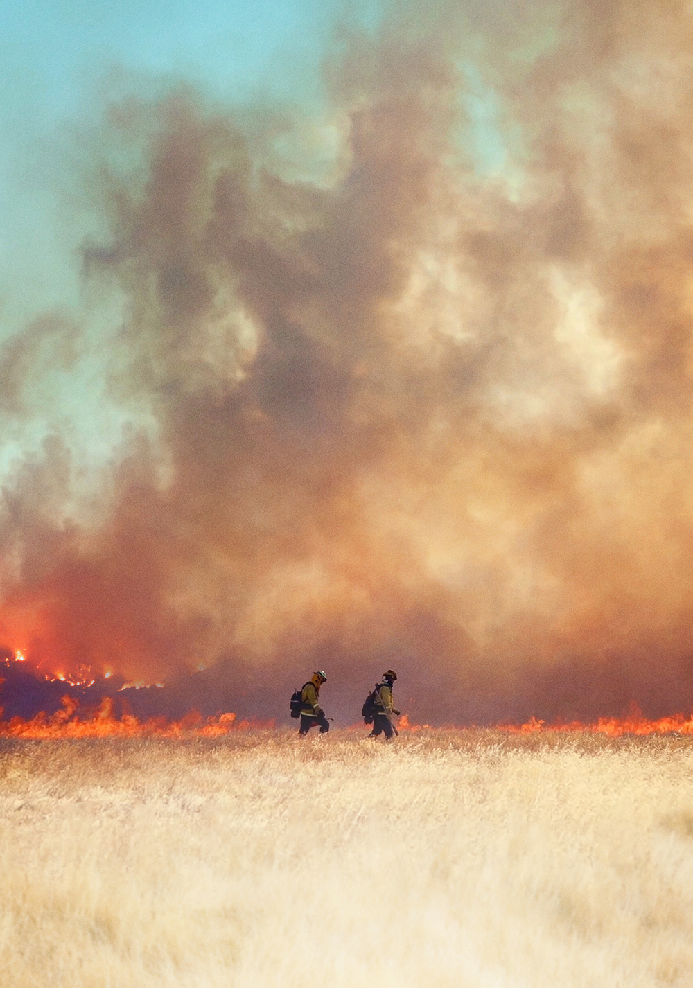 Fireline