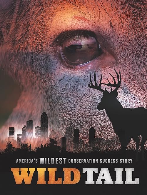 WildTail: America's Wildest Conservation Success Story
