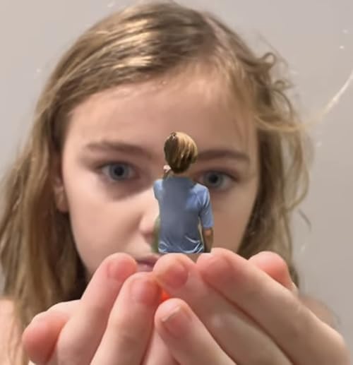Shrink