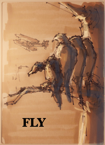 Fly