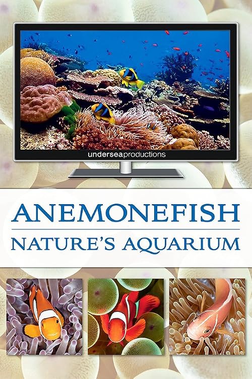 Anemonefish: Nature's Aquarium