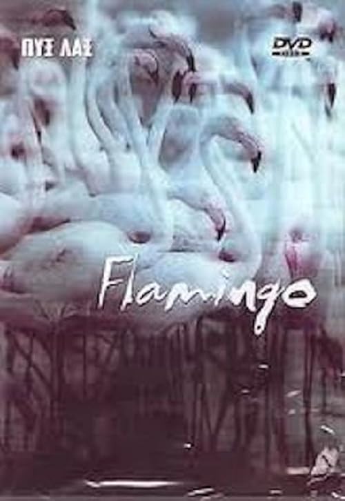Pyx Lax: Flamingo