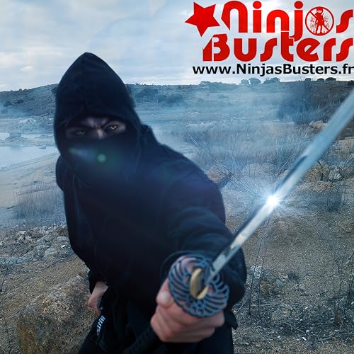 Ninjas Busters