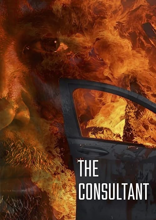 The Consultant