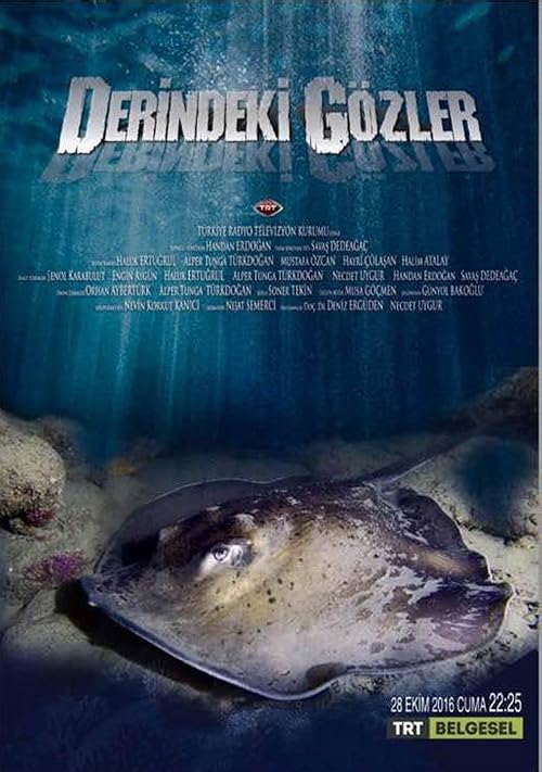 Derindeki Gözler