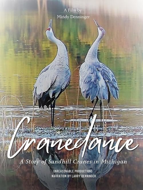 Cranedance A Story of Sandhill Cranes in Michigan