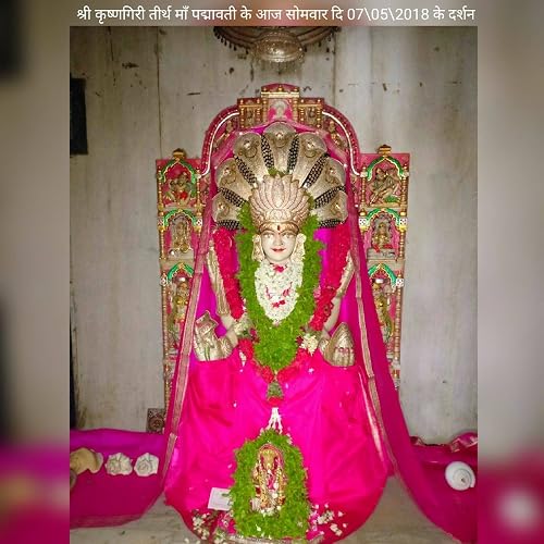 Havan Aahuti Shree Parshwa Padmavati Shaktipeeth