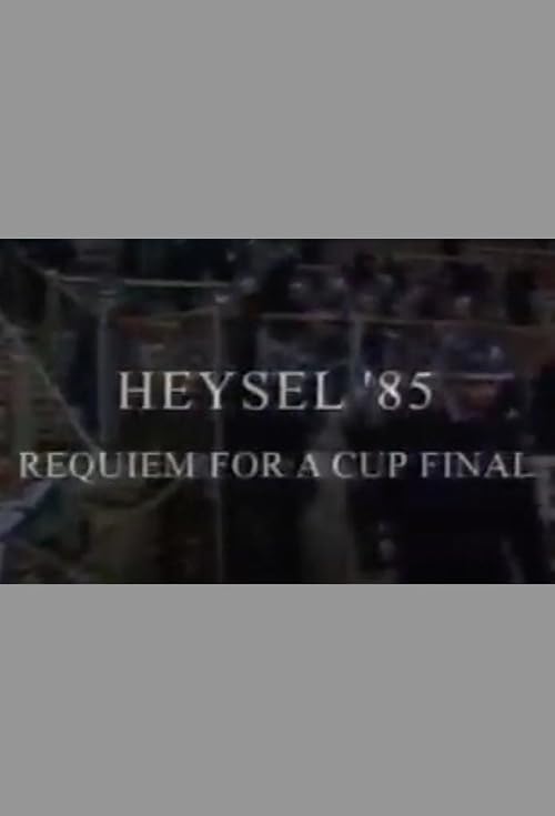 Heysel '85 - Requiem for a Cup Final