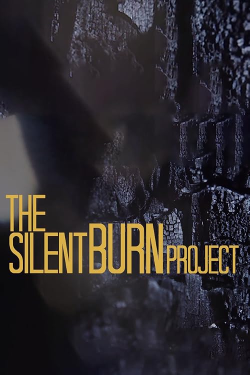 The Silent Burn Project