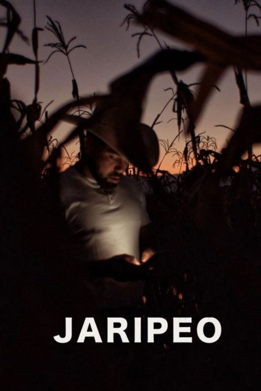 Jaripeo
