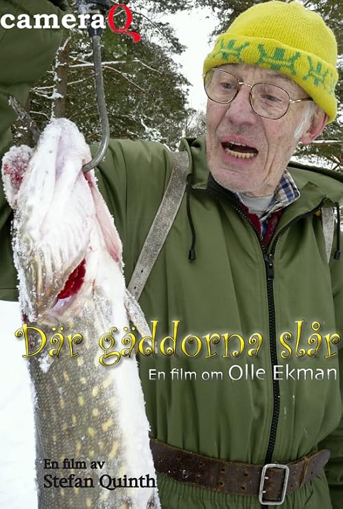 Där gäddorna slår