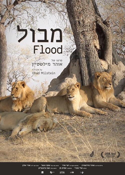 Flood