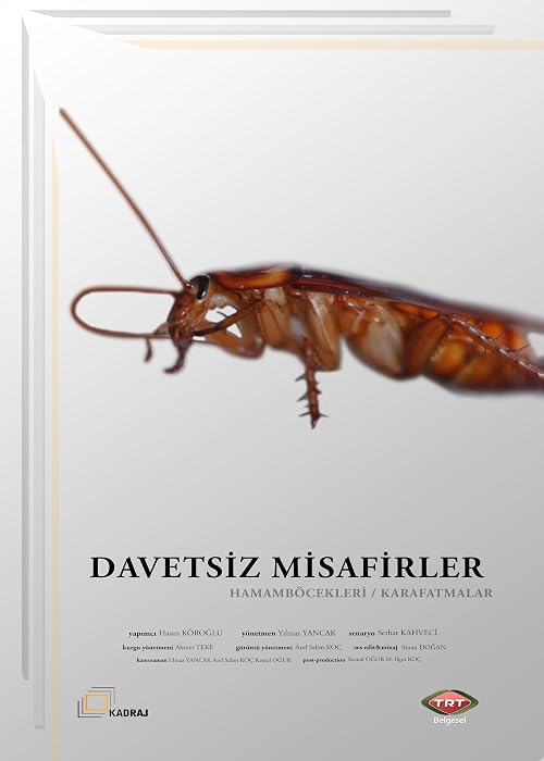 Davetsiz Misafirler