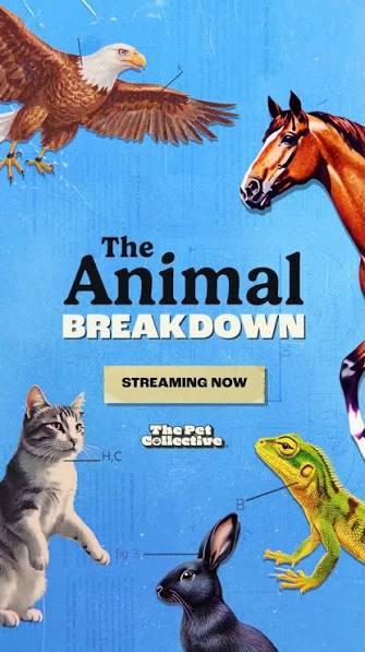 The Animal Breakdown