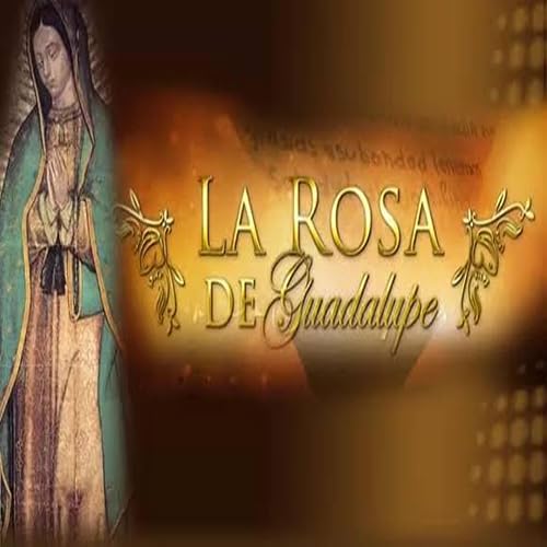Rosa de Guadalupe Temporada Millenium