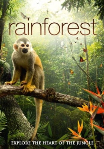 Rainforest