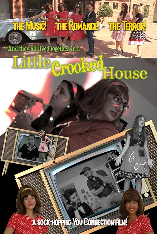 Little Crooked House