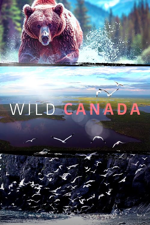 Wild Canada