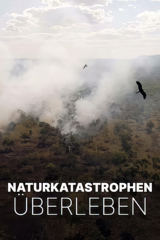 Survivre aux catastrophes: les stratégies de la nature