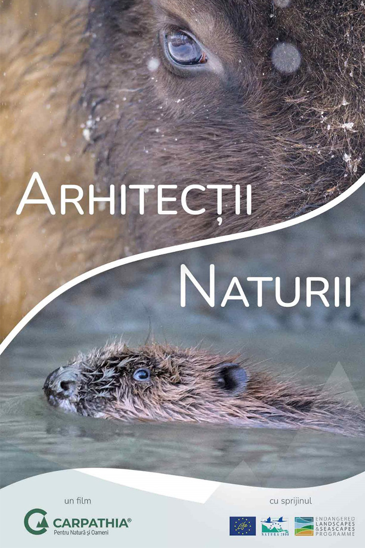 Nature's Architects