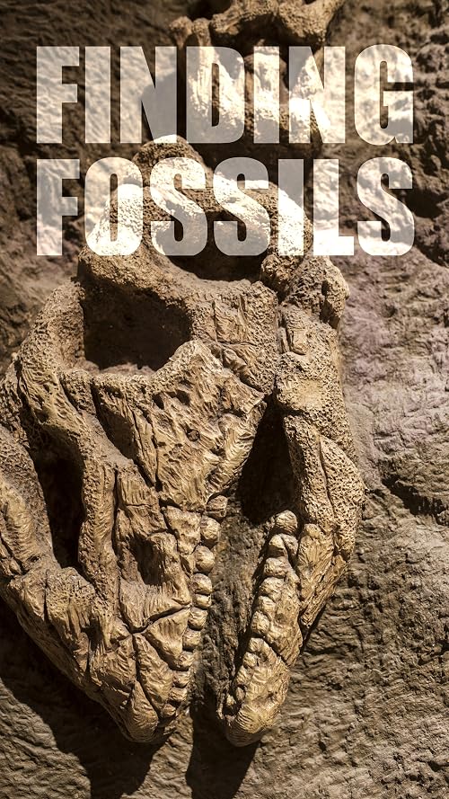 Finding Fossils