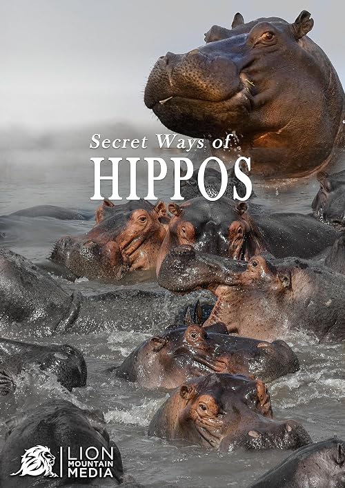 Secret ways of Hippos