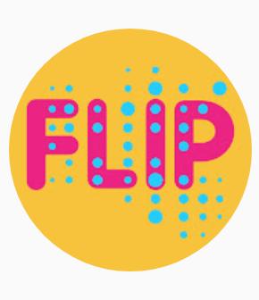 Flip 2016-2017
